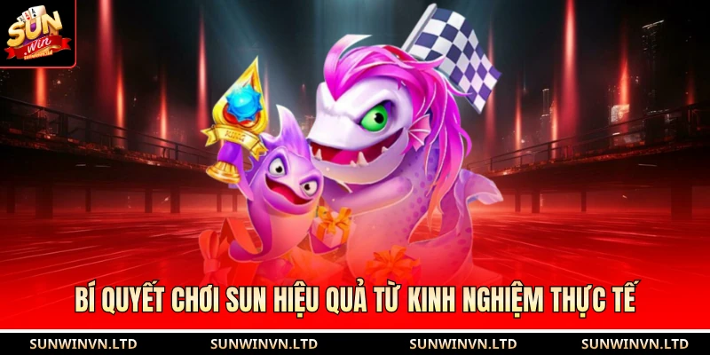 Bí quyết chơi Sun hiệu quả từ kinh nghiệm thực tế