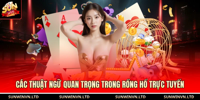 Các thuật ngữ quan trọng trong rồng hổ trực tuyến