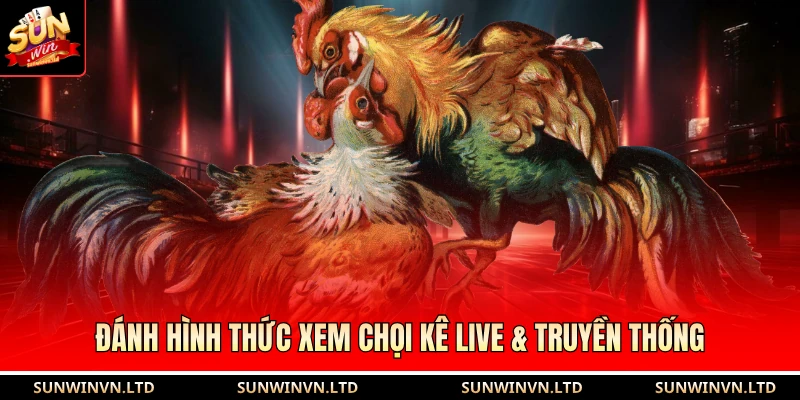 Đánh hình thức xem chọi kê live & truyền thống