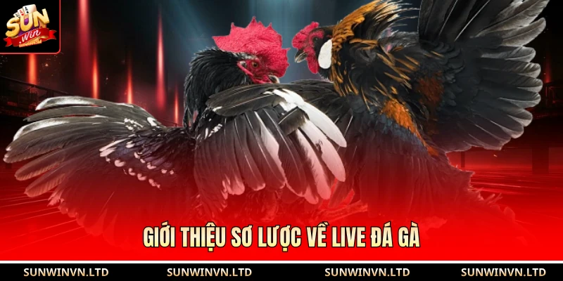 Giới thiệu sơ lược về live đá gà