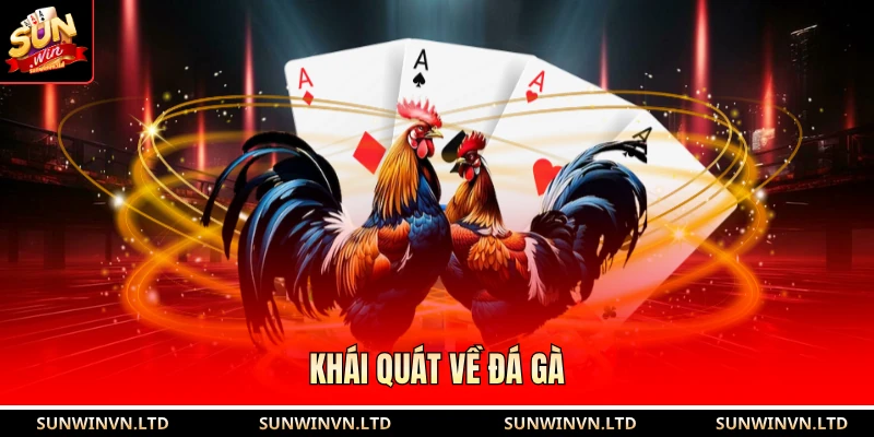 Khái quát về đá gà