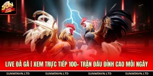 Live Đá Gà | Xem Trực Tiếp 100+ Trận Đấu Đỉnh Cao Mỗi Ngày
