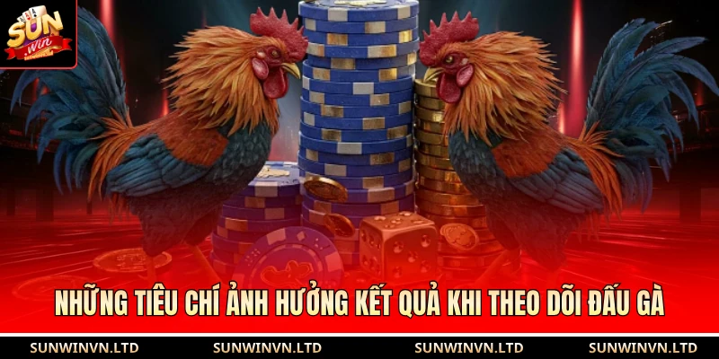 Những tiêu chí ảnh hưởng kết quả khi theo dõi đấu gà