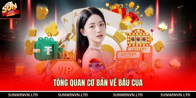 Tổng quan cơ bản về bầu cua