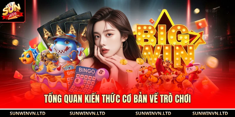 Tổng quan kiến thức cơ bản về trò chơi